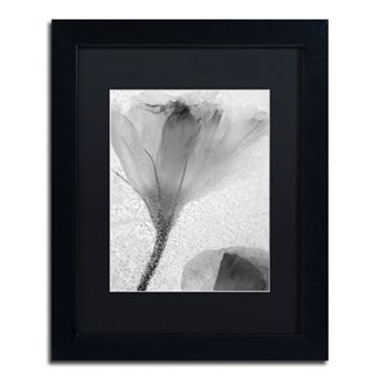 Trademark Fine Art Flowers on Ice-13 Matted Framed Wall Art