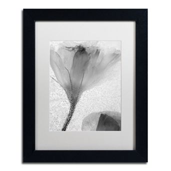Trademark Fine Art Flowers on Ice-13 Matted Framed Wall Art