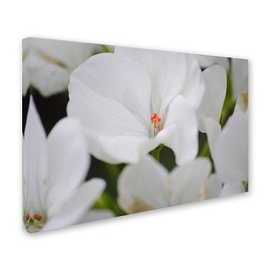 Trademark Fine Art Clustered Canvas Wall Art