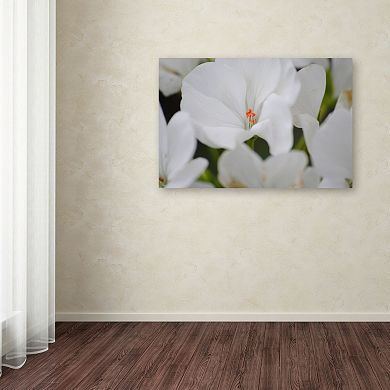 Trademark Fine Art Clustered Canvas Wall Art