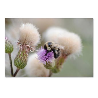 Trademark Fine Art Defeated Canvas Wall Art