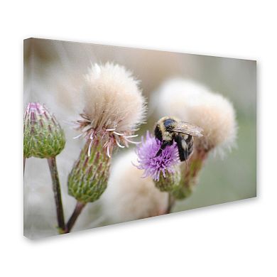 Trademark Fine Art Defeated Canvas Wall Art