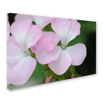 Trademark Fine Art Devine Feel Canvas Wall Art