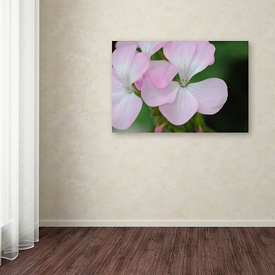 Trademark Fine Art Devine Feel Canvas Wall Art