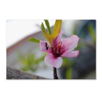 Trademark Fine Art Expressive Individuality Canvas Wall Art