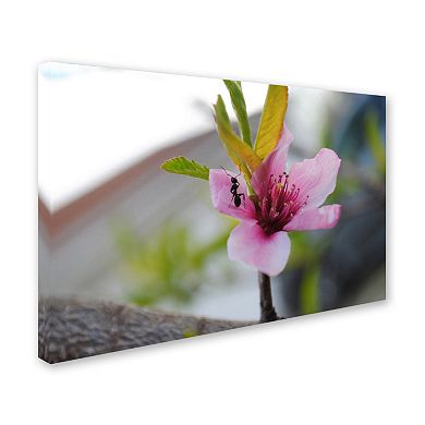 Trademark Fine Art Expressive Individuality Canvas Wall Art