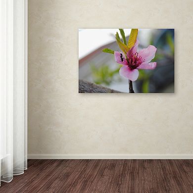 Trademark Fine Art Expressive Individuality Canvas Wall Art