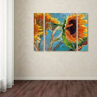 Trademark Fine Art Richard Wallich Sun 11 Multi-Panel Art Set