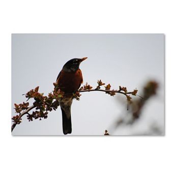 Trademark Fine Art Guardian Canvas Wall Art