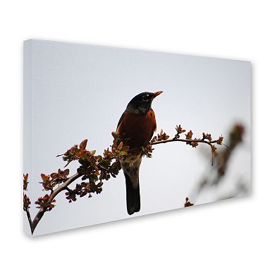 Trademark Fine Art Guardian Canvas Wall Art