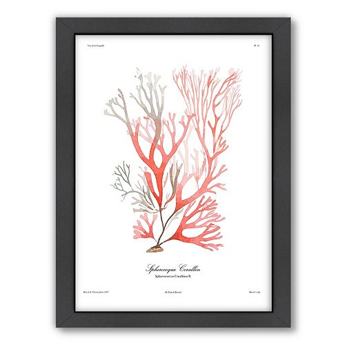 Americanflat French Kelp Red Framed Wall Art