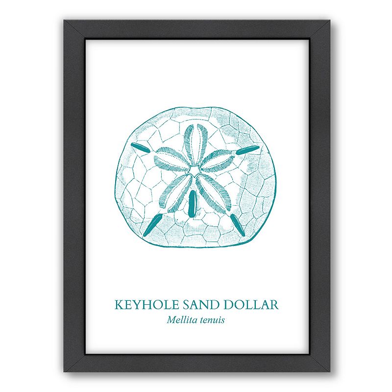 Americanflat Sand Dollar Framed Wall Art, Turquoise/Blue, 18X24