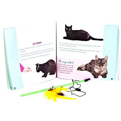 Publications International, Ltd. "Teach Your Cat Tricks" Boxed Kit
