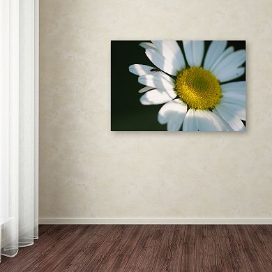 Trademark Fine Art Hidden in Shadows Canvas Wall Art