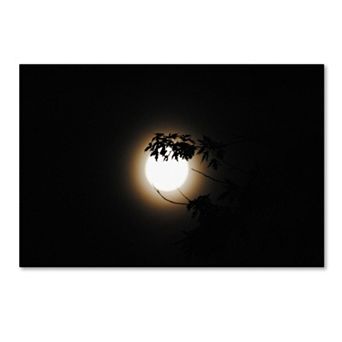 Trademark Fine Art Howl Canvas Wall Art