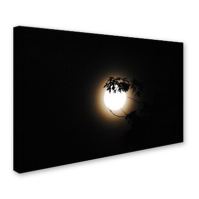 Trademark Fine Art Howl Canvas Wall Art