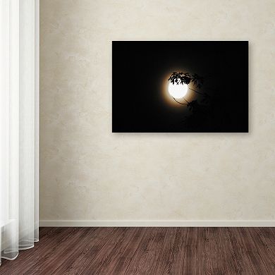 Trademark Fine Art Howl Canvas Wall Art