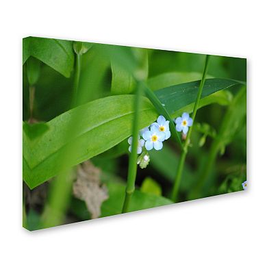 Trademark Fine Art Limited Perfection Canvas Wall Art