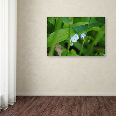 Trademark Fine Art Limited Perfection Canvas Wall Art