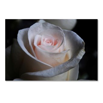 Trademark Fine Art Loyal Star Canvas Wall Art