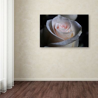 Trademark Fine Art Loyal Star Canvas Wall Art