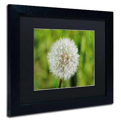 Trademark Fine Art Make a Wish Black Framed Wall Art