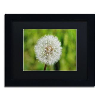 Trademark Fine Art Make a Wish Black Framed Wall Art
