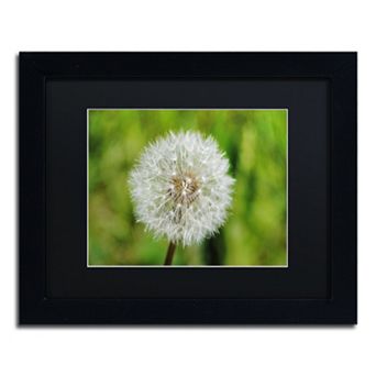 Trademark Fine Art Make a Wish Black Framed Wall Art