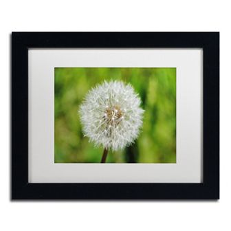 Trademark Fine Art Make a Wish Black Framed Wall Art