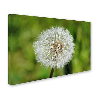 Trademark Fine Art Make a Wish Canvas Wall Art