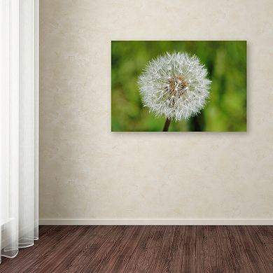 Trademark Fine Art Make a Wish Canvas Wall Art