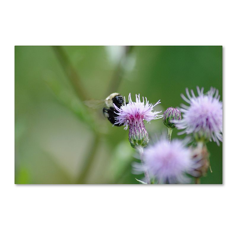 Trademark Fine Art Meant to Be Canvas Wall Art, Green