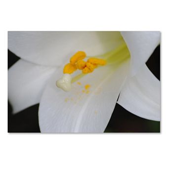 Trademark Fine Art One Word Canvas Wall Art