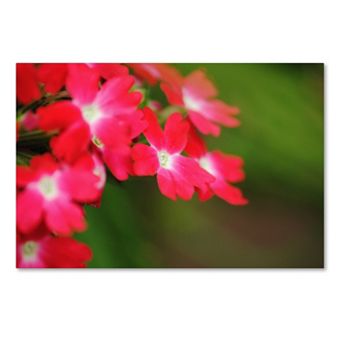 Trademark Fine Art Paired Ornament Canvas Wall Art
