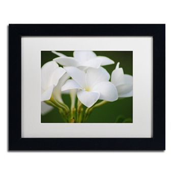 Trademark Fine Art Picture Perfect Framed Wall Art