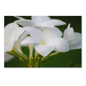 Trademark Fine Art Picture Perfect Canvas Wall Art