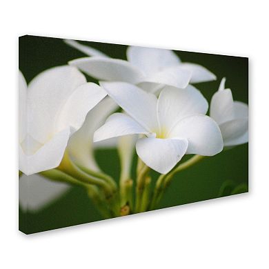 Trademark Fine Art Picture Perfect Canvas Wall Art