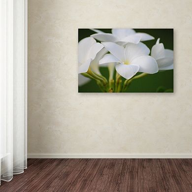 Trademark Fine Art Picture Perfect Canvas Wall Art