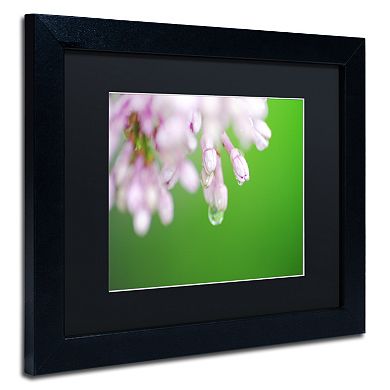Trademark Fine Art Pure Framed Wall Art