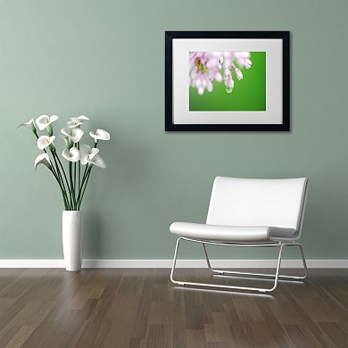 Trademark Fine Art Pure Framed Wall Art