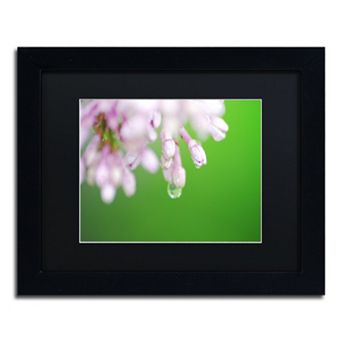 Trademark Fine Art Pure Framed Wall Art