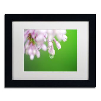 Trademark Fine Art Pure Framed Wall Art