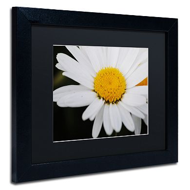 Trademark Fine Art Sweet Splendor Framed Wall Art
