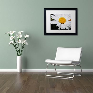 Trademark Fine Art Sweet Splendor Framed Wall Art