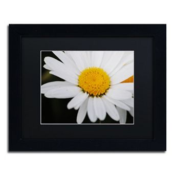 Trademark Fine Art Sweet Splendor Framed Wall Art