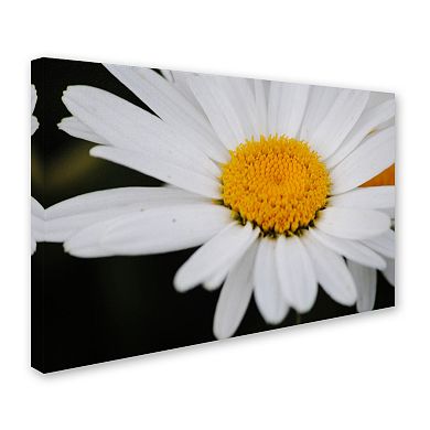 Trademark Fine Art Sweet Splendor Canvas Wall Art