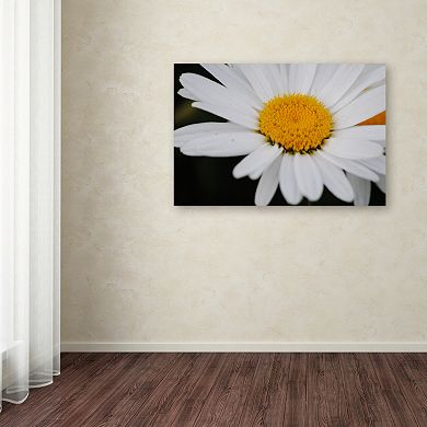 Trademark Fine Art Sweet Splendor Canvas Wall Art