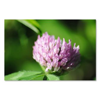 Trademark Fine Art Vindictive Lust Canvas Wall Art