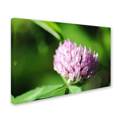 Trademark Fine Art Vindictive Lust Canvas Wall Art