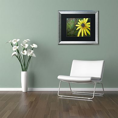 Trademark Fine Art Black Eyed Susan Silver Finish Framed Wall Art
